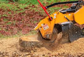  Dyersburg, TN Tree Removal Pros